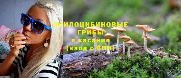 СК Беломорск